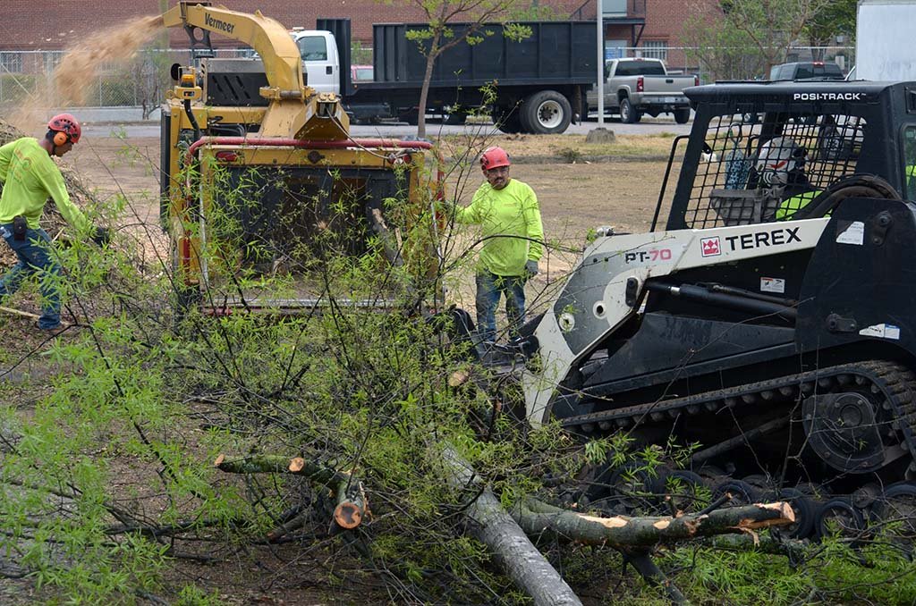 Tree Services