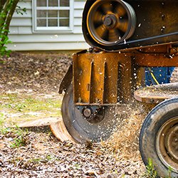 Stump grinding equipment removing a tree stump