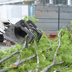 Equipment clearing branches and tree debris